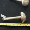 Measurement of Pa-O silver ear plug diameter with ruler
