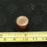 With Ruler 2: Antique Shan glass ear plug with scale, measuring length and width