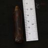 burmese amber patlokas ear plugs size shown with ruler