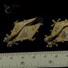 Central Flores OM’e Mbulu earrings with ruler size reference