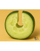 Tribal & Ethnic Jewelry